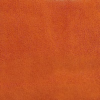 #color_camel